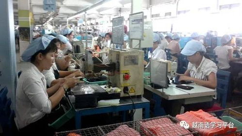 越南鞋業寒冬 老牌企業裁員近3000人，折射社會經濟深層挑戰