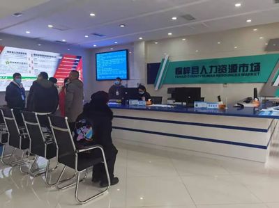 桐梓縣 以專業咨詢服務為引擎，筑牢“穩就業”“保就業”基石，驅動經濟社會高質量發展